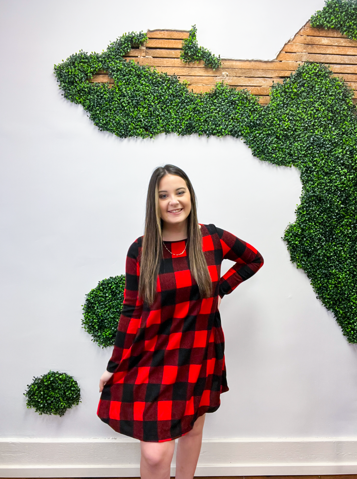 Plaid For Days Swing Dress - Red
