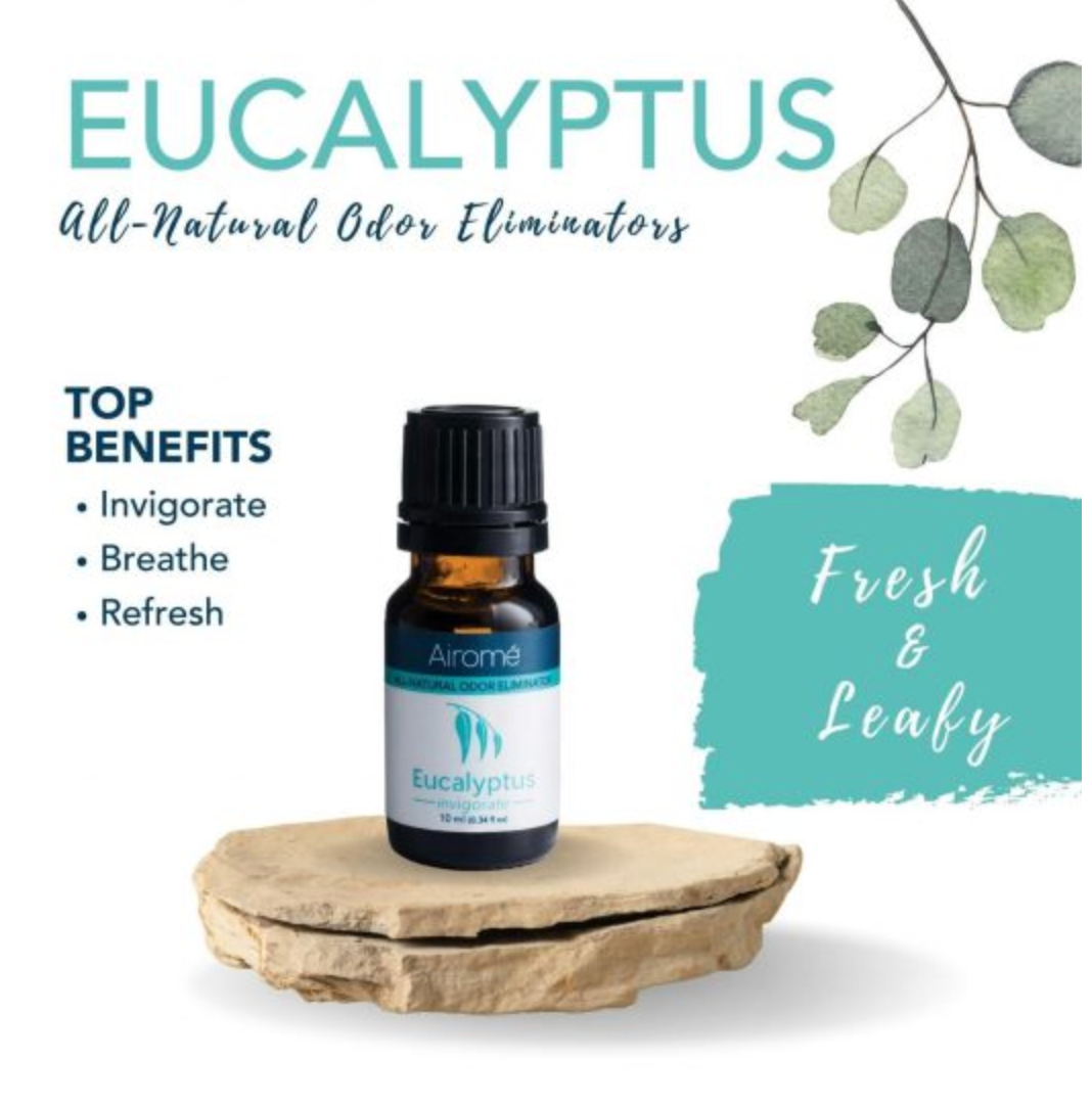Eucalyptus All-Natural Odor Eliminator Essential Oil