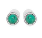 World's Greatest Earrings