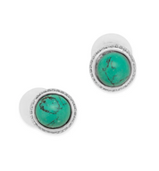 World's Greatest Earrings