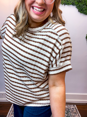 Fresh Picked Stripe Top in Brown